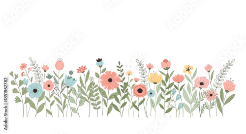 Beautiful long horizontal border showcases an abundant array of colorful spring and summer flowers with lush green leaves on a white background.