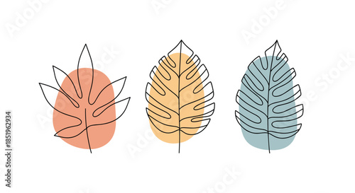 A minimalist set of three tropical leaves in line art style with abstract colorful shapes on a white background.