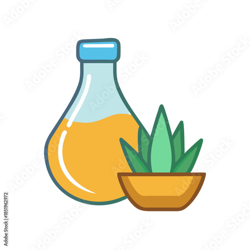 Herbal elixir and succulent plant illustration on white background