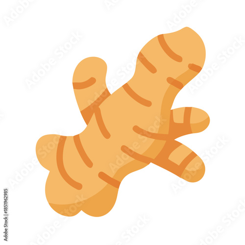 Isolated ginger root graphic illustration on white background