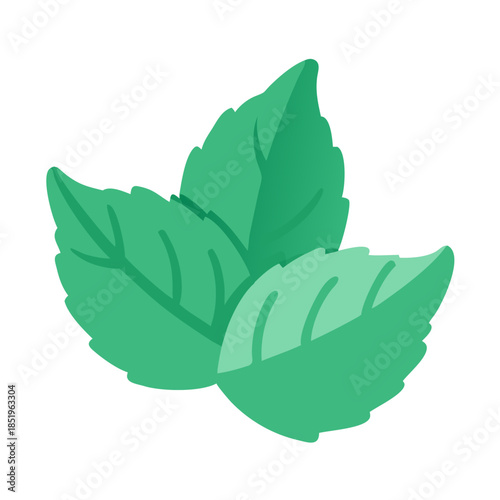 Fresh green mint leaves, herbal ingredient on white background