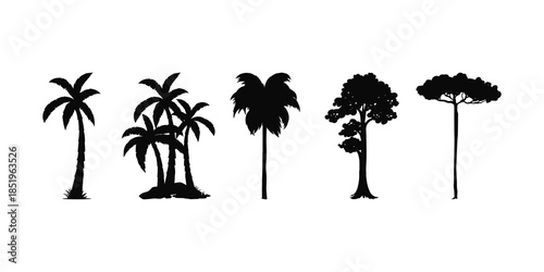Tree and forest silhouette vector illustration collection featuring different trees, wilderness shapes, nature elements, outdoor landscape, woodland black design for decoration