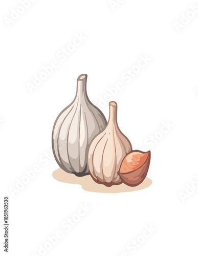 garlic isolated on white and black