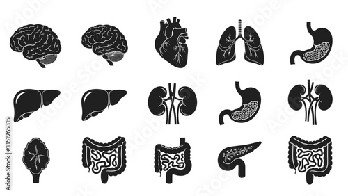 Silhouette icons of various human internal organs, including lungs, heart, kidneys, liver, stomach, and pancreas.