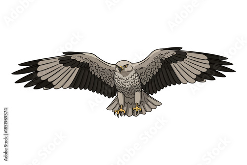 Illustration of a predatory bird with wings spread wide, descending with sharp talons extended, against a plain white background