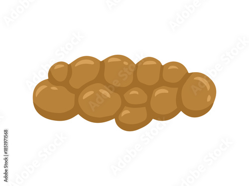 Human Feces Lumpy and Like Sausage or Mild Constipation Type