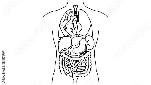 Young entrepreneur celebrating business success in modern office