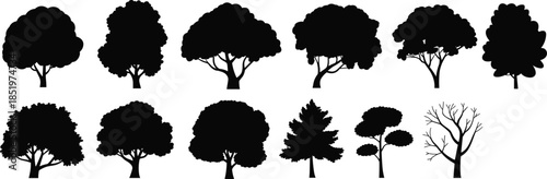 Tree silhouette set, forest and park trees collection, woodland nature vegetation shapes, minimal black outdoor design, cad drawing flat vector illustration