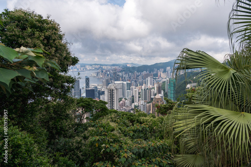 View of Hong Kong and Kowloon from Victoria peak. Panorama of Hong Kong, skyscrapers and nature.
