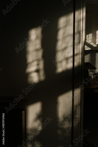 Soft window light casting geometric shadows on a dark interior wall