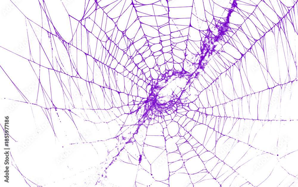 Obraz premium A vibrant purple spider web with a dense center on a transparent background, perfect for adding a mystical or halloween touch to projects