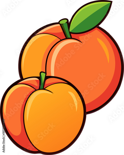 Peach Vector Illustration – Fresh Summer Stone Fruit Graphic Design