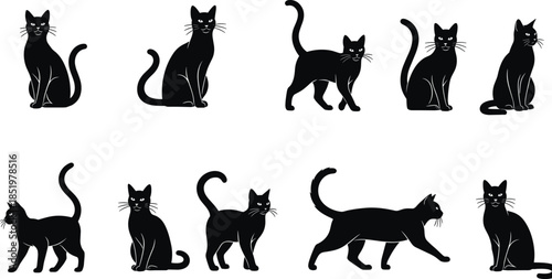 Black cat silhouettes set, domestic feline poses collection, walking sitting standing cats, pet animal icons, isolated illustration