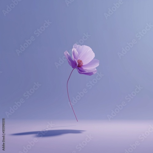 Delicate single flower appearing to float softly on minimal pastel background.
Keywords (47):