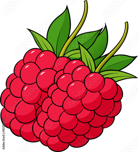 Raspberry Clipart Vector – Healthy Red Fruit Illustration