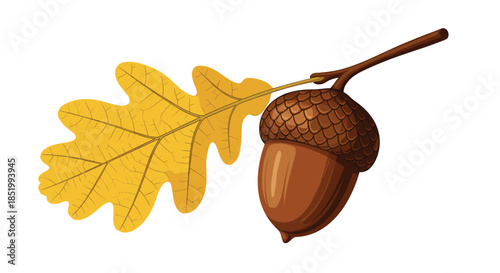 Detailed illustration of a brown acorn with a cap attached to a small branch with a vibrant yellow oak leaf from the autumn season.