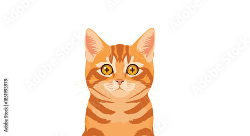 Close-up portrait of a cute and curious ginger tabby cat with big, expressive golden eyes looking directly at the viewer.