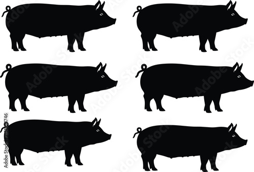 Pig silhouette set, black pig icons, farm animal vector, livestock illustration, tail and ear variations, minimal pig shapes, editable clipart