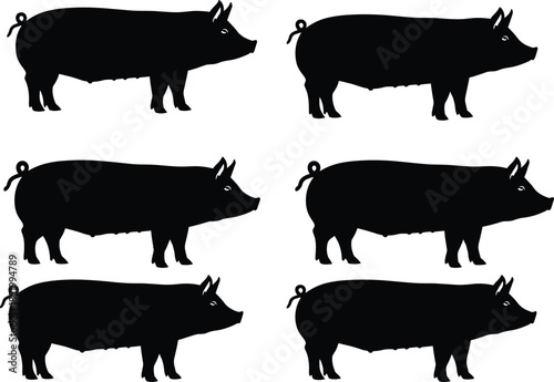 Pig silhouette vector set, black pig icons, farm animal graphics, livestock illustration, tail variations, editable pig shapes, commercial use