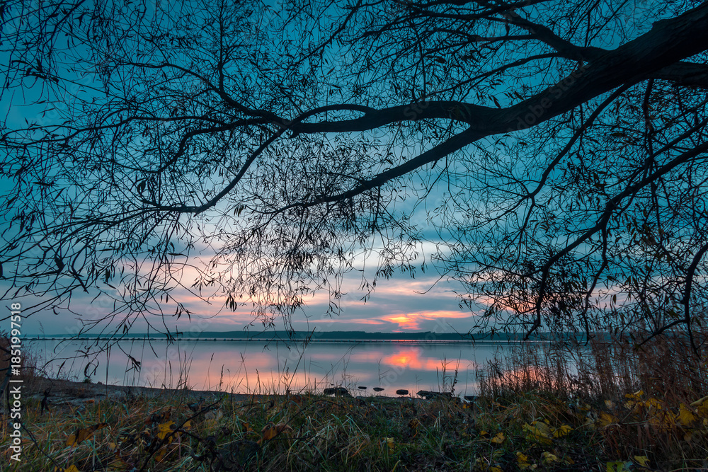 Obraz premium Sunset Through Branches - Curonian Lagoon, Lithuania