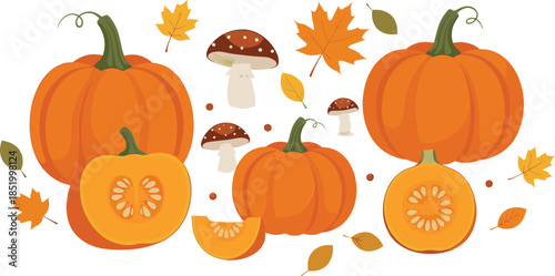 Thanksgiving harvest illustration featuring pumpkins sliced squash mushrooms and fall foliage flat vector