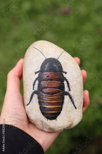 hand painted cockroach on stone. looks like life