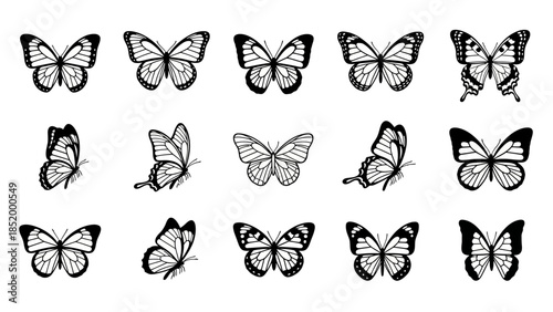 Grouped black and white butterfly illustrations arranged in neat rows and patterns.
