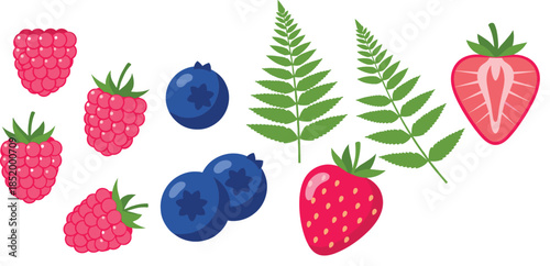 Berry Fruits and Fern Leaves Vector Set with Strawberry Blueberry Raspberry in Flat Style