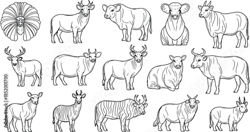 Farm Animals and Cattle Line Art Collection with Cow, Bull, Deer, and Livestock Illustrations