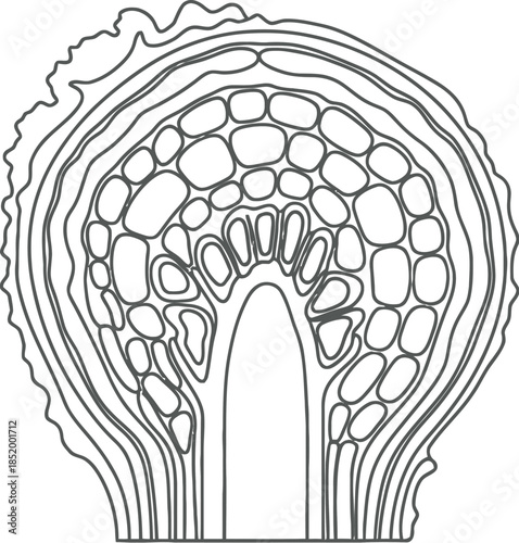 Empty vector file display
