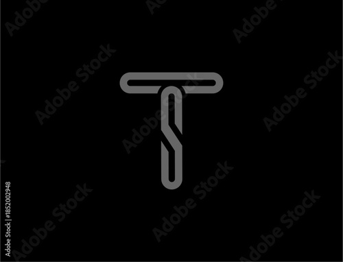 Abstract letter ts logo