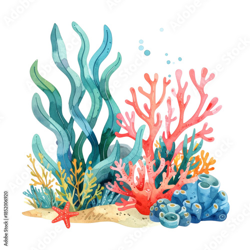 カラフルなサンゴと海藻の水彩イラスト