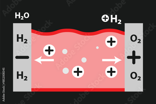 Proton Exchange Membrane Layer vector icon