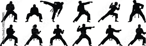 Martial arts silhouette vector, karate poses, taekwondo stances, kicking, punching, training, black uniform figures, combat moves, self-defense illustration