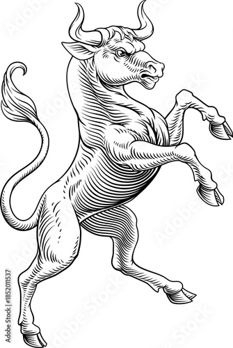 Photos A bull in a heraldry coat of arms crest heraldic style rearing, standing rampant on its hind legs