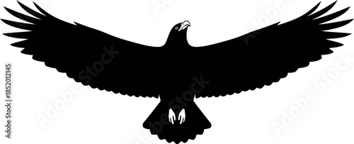 Silhouette of a soaring eagle in flight against a white background