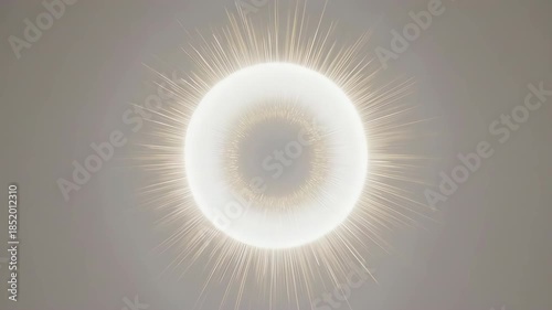 Solar Eclipse with Bright White Corona.