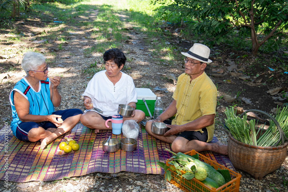 Obraz premium Group of elderly Asian farmers sitting together outdoors sharing a simple meal and conversation. Concept of friendship, community bonding, rural lifestyle, aging together.