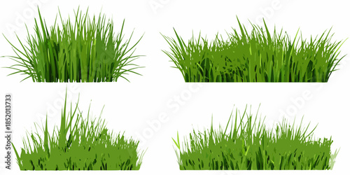 A collection of vibrant green grass clumps isolated on a white background