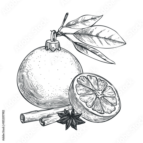 Hand drawn sketch of a festive holiday orange ornament with fresh citrus slice, aromatic cinnamon sticks, and star anise perfect for winter season celebrations or food product packaging.