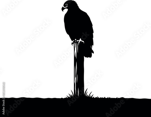 Silhouette of a bird of prey perched on a pole