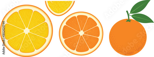Fresh orange fruit vector set with whole citrus sliced segments and green leaves isolated