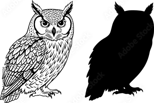 Two owls depicted in black and white one with detailed feathers and one in solid silhouette design editable vector
