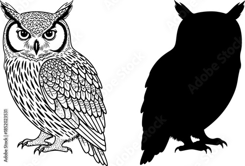Two owls depicted in black and white one with detailed feathers and one in solid silhouette design editable vector
