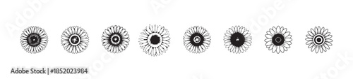 Various styles of sunflower head illustrations including solid fill outline and detailed designs for spring decorations