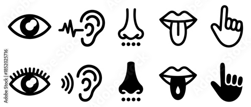 five senses perception icons set