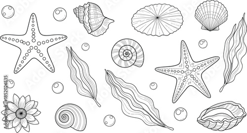 Hand Drawn Underwater Sea Elements Outline Vector Set for Coloring Pages and Marine Designs