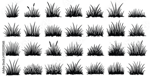 Collection of diverse black silhouette grass clumps perfect for landscape design and nature graphics