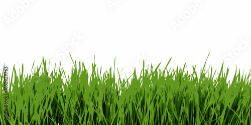 A simple image showcasing a patch of vibrant green grass on white