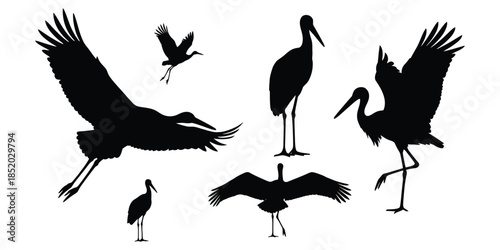 A set of flamingo silhouette logo.